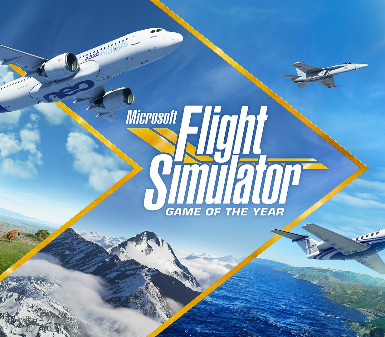 Microsoft Flight Simulator Premium Deluxe Game of the Year Edition cover art