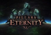 Pillars of Eternity Hero Edition cover art