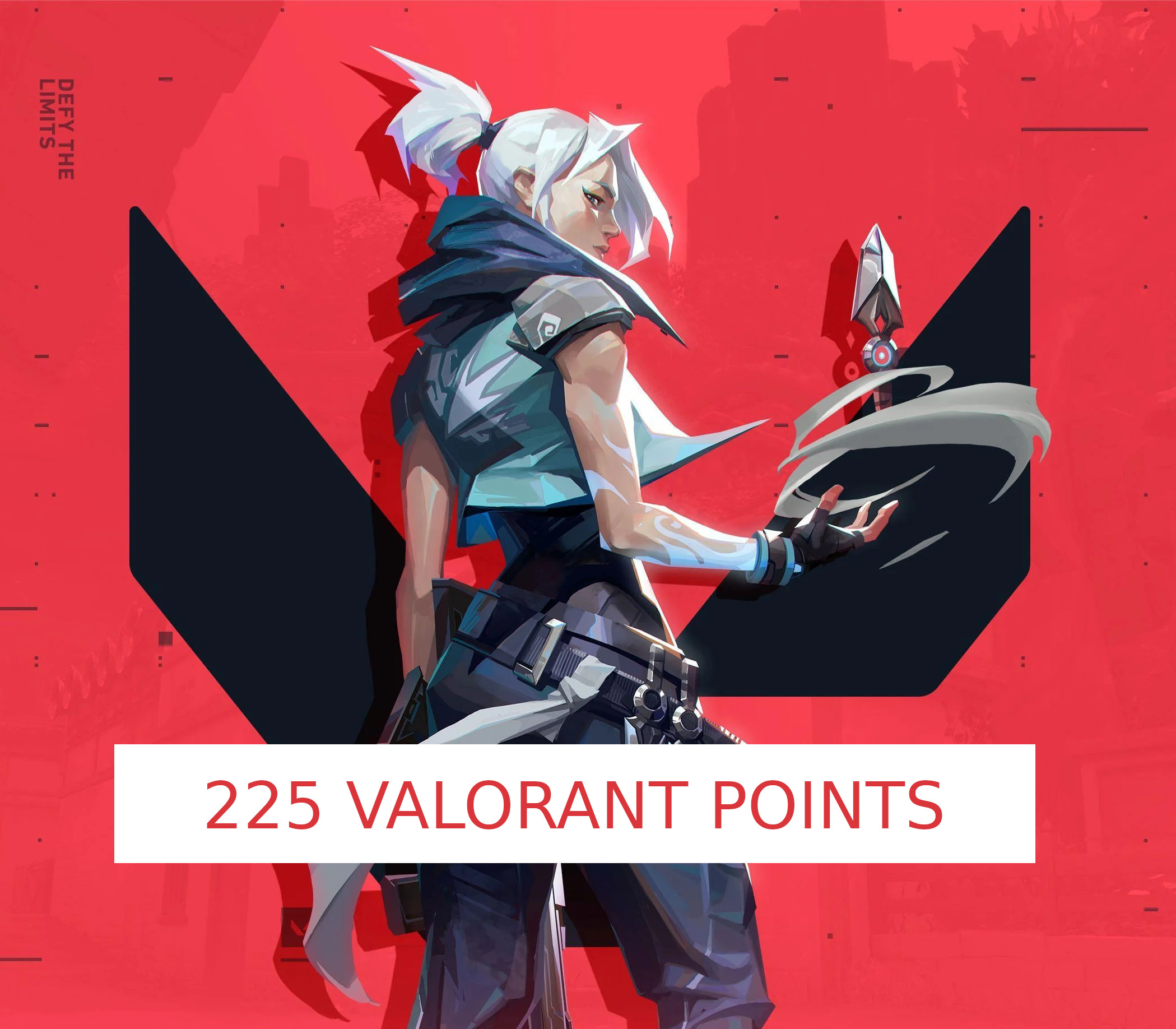 VALORANT - 225 Valorant Points Gift Card cover art