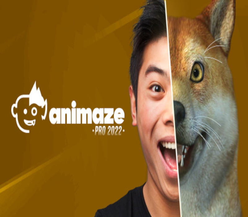 Animaze Pro 22 - Lifetime License DLC cover art