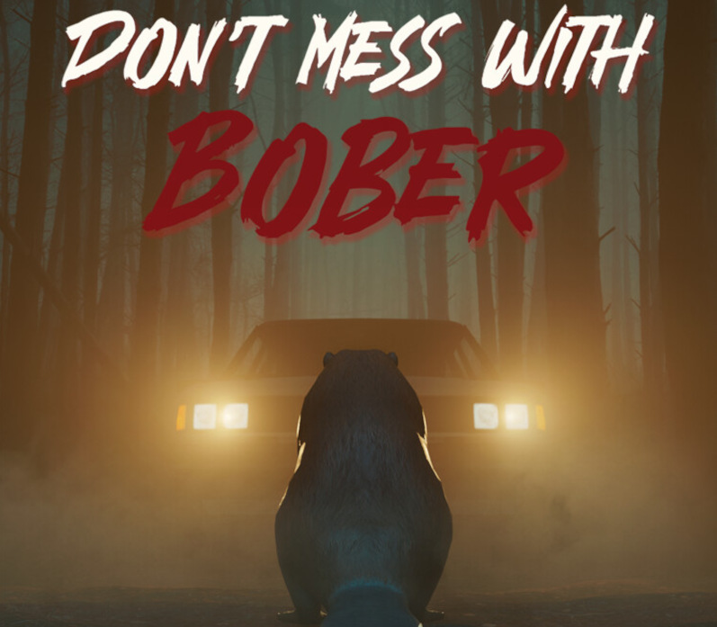 Don't Mess With Bober cover art