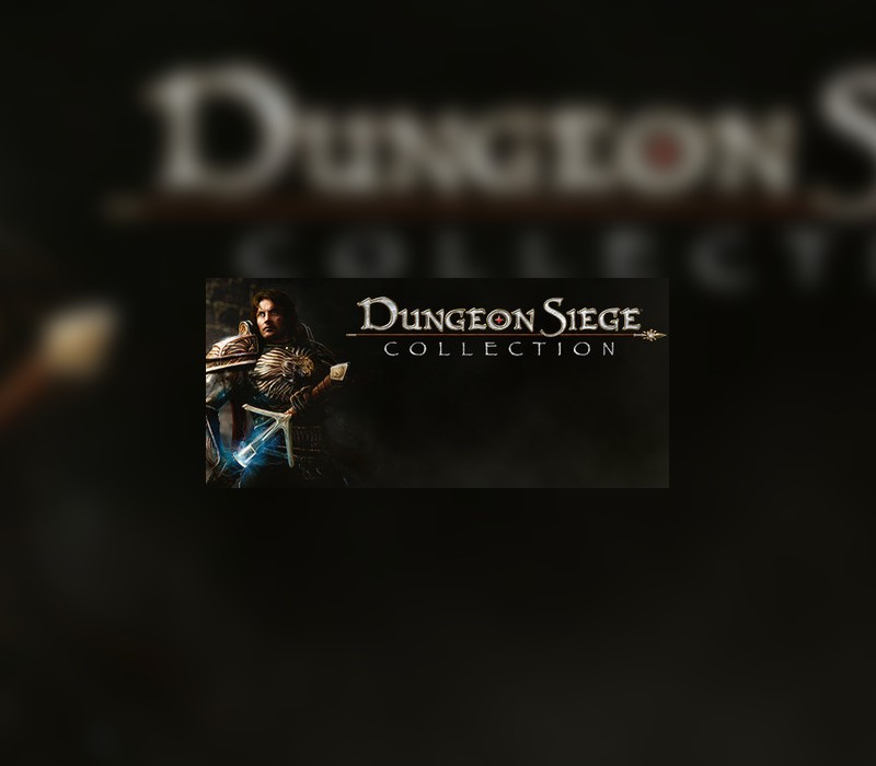 Dungeon Siege Collection cover art